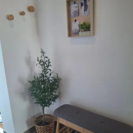 Opg Pelejs * Košljun